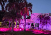 Outubro Rosa ilumina a Câmara Municipal.