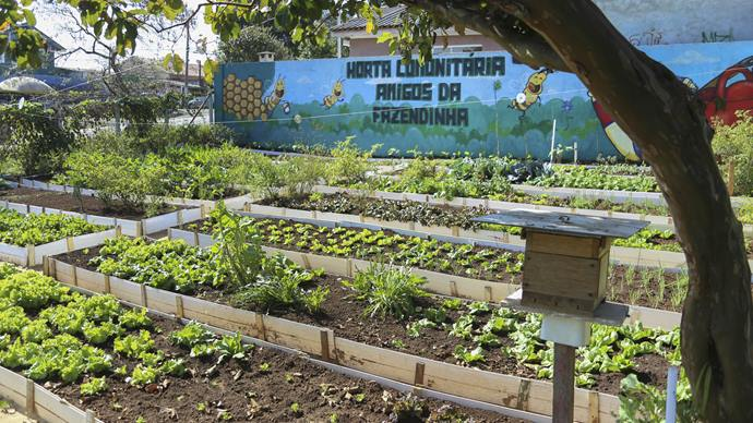 Programa de incentivo a hortas comunitárias é aprovado pelos vereadores.