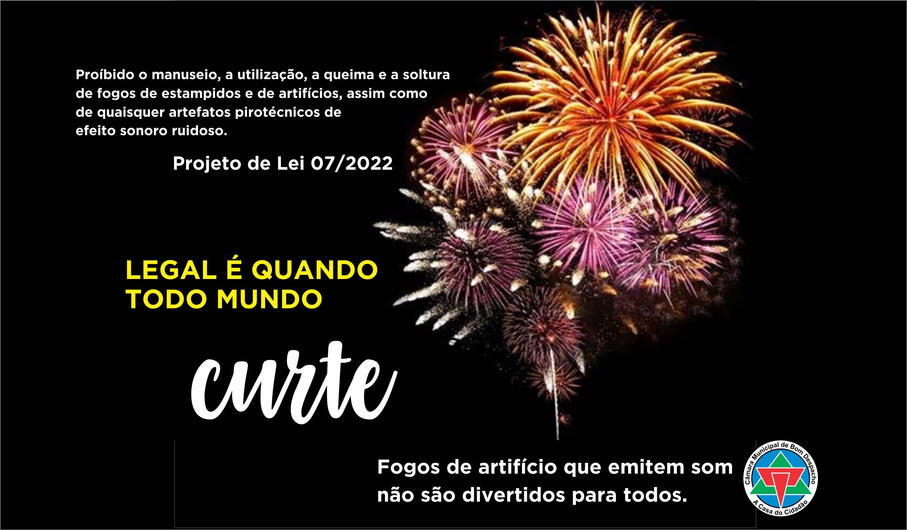 Projeto que proíbe fogos de artifício é aprovado pelos vereadores.