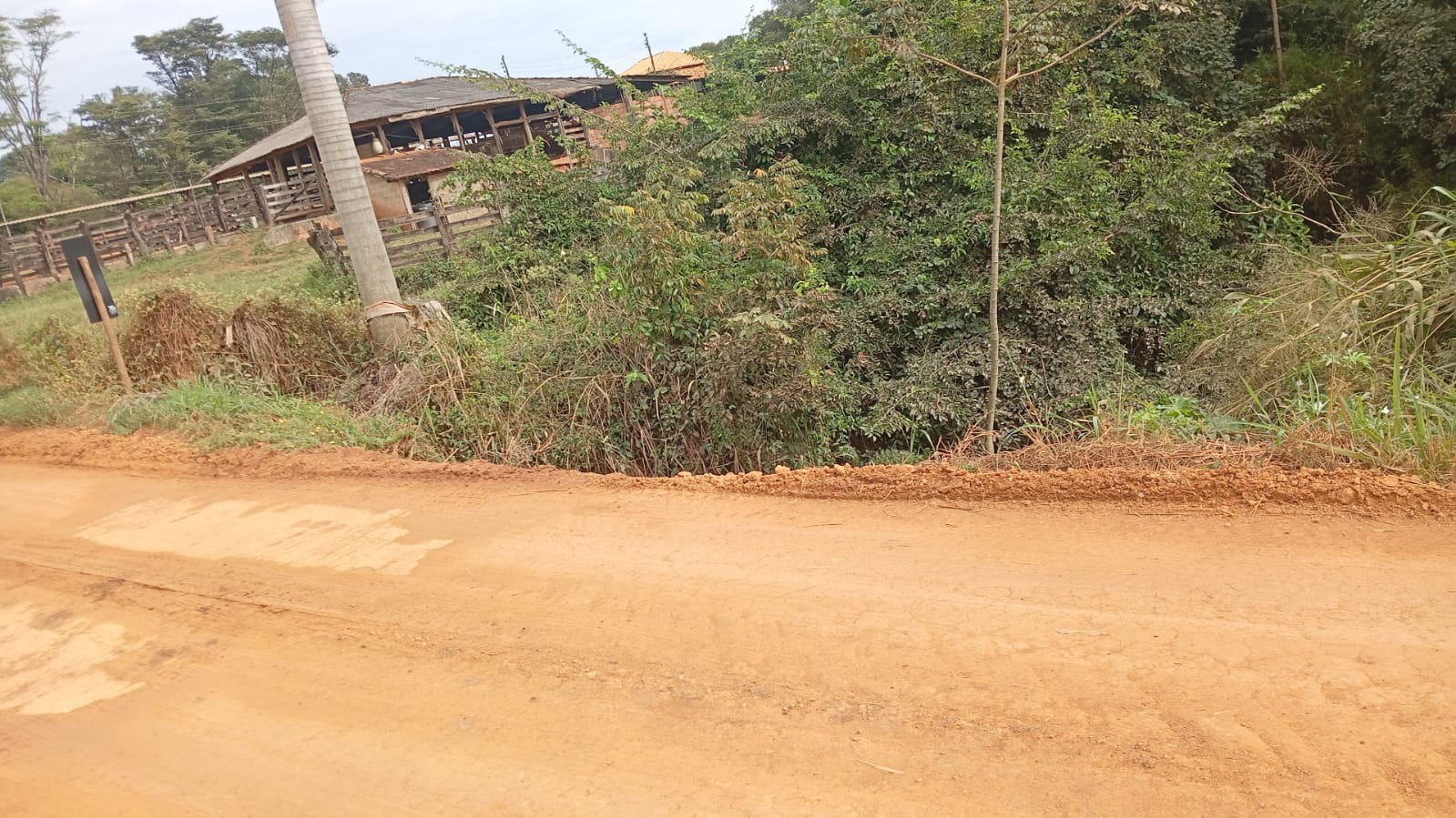 Segurança da população motiva cobrança por melhorias na Ponte do Rasgão.