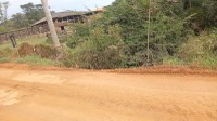 Segurança da população motiva cobrança por melhorias na Ponte do Rasgão.